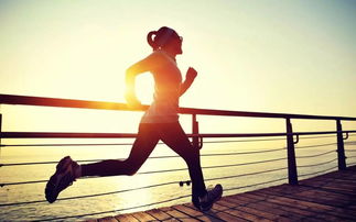 大連房產資訊關聯播 | 健身休閑活動引領都市健康生活新風尚