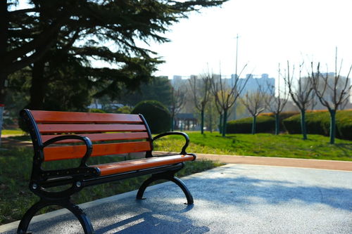 老園新顏 涂色童年記憶，濰坊公園的設施新生