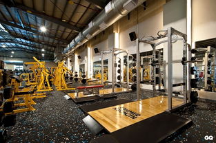 本土健身會館品牌健身工廠正式揮旗進軍中臺灣健身市場，引領健身休閑新風潮